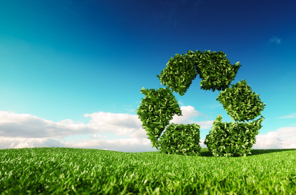 Bharat Sustainable Futures
