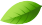 Leaf Icon